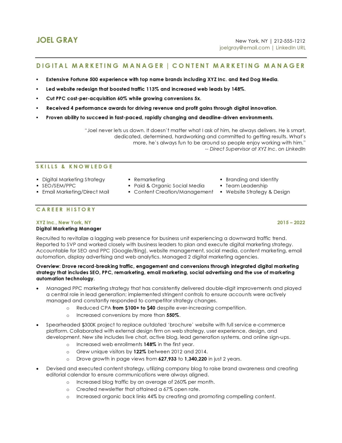 Digital Marketing Manager - Resume Sample | Blue Sky Resumes